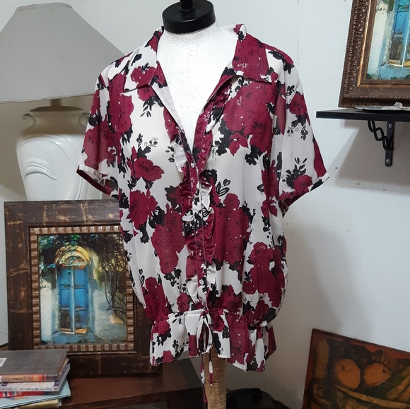 Womens Sheer Blouse MILLERS - Picture 5 of 8